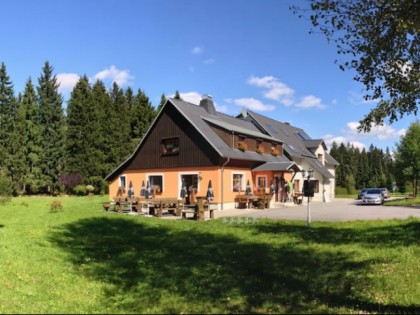 Foto: Sauschwemme